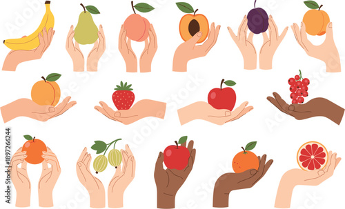Diverse human hands holding fresh fruits illustration representing healthy food, nutrition, diversity, and natural lifestyle concept