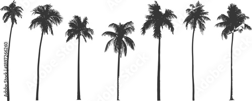 Detailed black silhouettes of seven tall palm trees with textured fronds and trunks against a clean white background evoking tropical landscapes