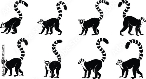 Ring tailed lemur silhouette set showing wildlife poses, exotic animal illustration vector collection design pack