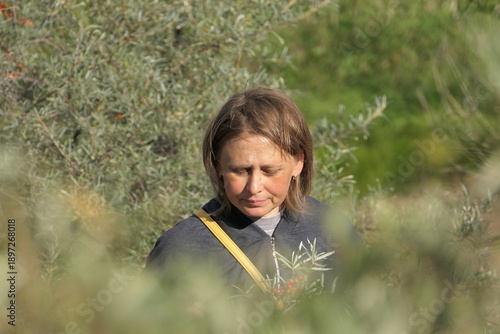 a girl picks ripe orange sea buckthorn berries on a sunny day in autumn