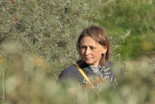 a girl picks ripe orange sea buckthorn berries on a sunny day in autumn