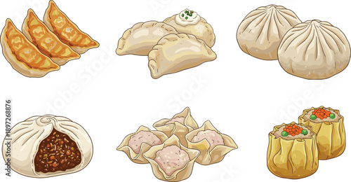 Assorted Asian Dumplings Collection with Gyoza Bao Buns Wontons and Steamed Dim Sum Vector Illustration