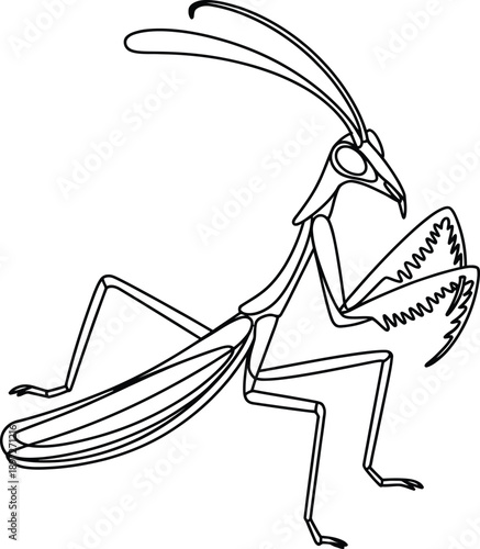 A line drawing of a praying mantis insect standing sideways with long antennae