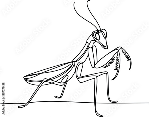 Continuous line drawing of a praying mantis standing on a surface