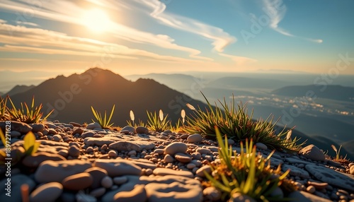 20260201184133list 258 A serene mountain summit bathed in a radiant golden glow, capturing the delicate shimmer of dawn, From a macro perspective, every tiny pebble, wispy blade of grass
