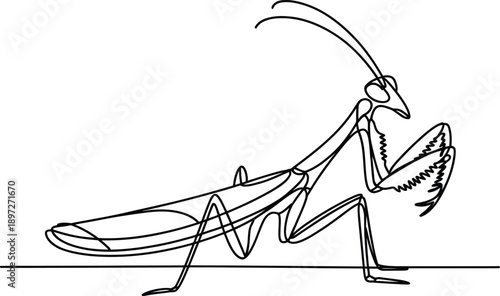 One line art praying mantis insect standing on ground looking sideways  minimalistic drawing