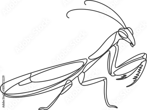 Illustration of a praying mantis in a single line drawing style