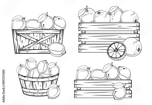 Wooden Box with fruits. Wooden crates full of fruits. Farm, storage, delivery. Organic market. Harvest and agriculture