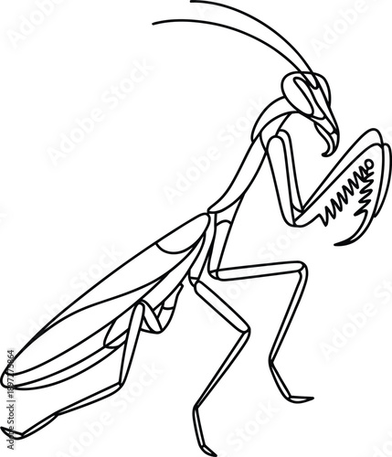 Black and white line drawing of a praying mantis insect standing alone