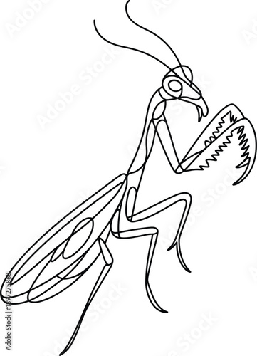 A simple line drawing of a prayingmantis standing on its hind legs