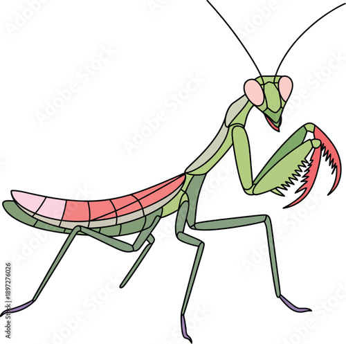 Colorful cartoon praying mantis insect with green body and red details