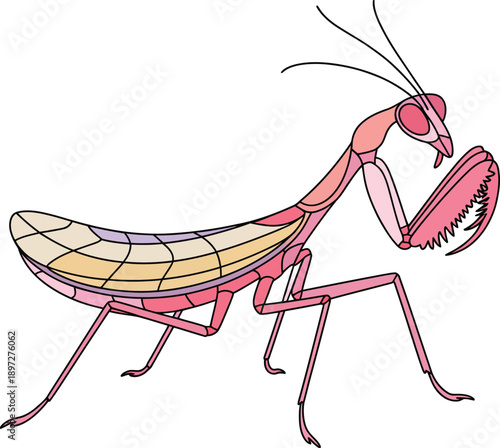 Cartoon praying mantis with pink body and long forelegs