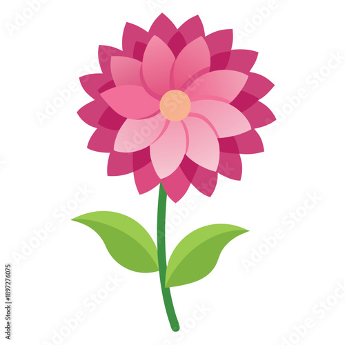 aster novi belgii magic pink flower