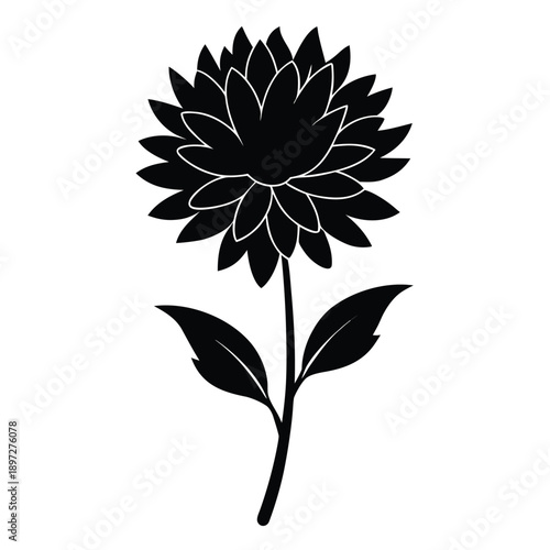 asters perennial uk silhouette 