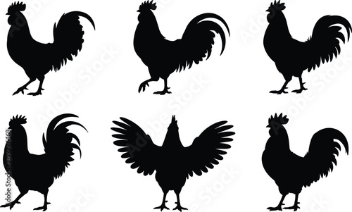 Rooster silhouette collection set, black chicken farm animal icons in various poses isolated on white background for design