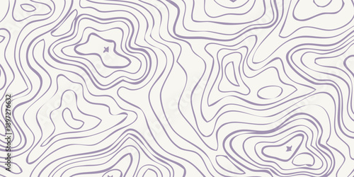 Topographic Map Contour Lines Representing Elevation and Terrain.