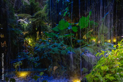 Canvas Print SINGAPORE - DECEMBER 25, 2025: Breathtaking botanical landscapes and futuristic architecture inside the Flower Dome and Cloud Forest conservatories at Gardens by the Bay