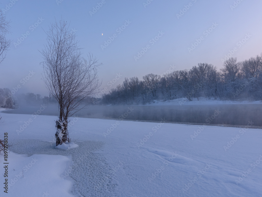 Obraz premium winter landscape with trees