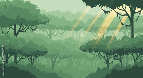 Sunlight streams through the dense canopy of a lush, green rainforest, illuminating the misty atmosphere.