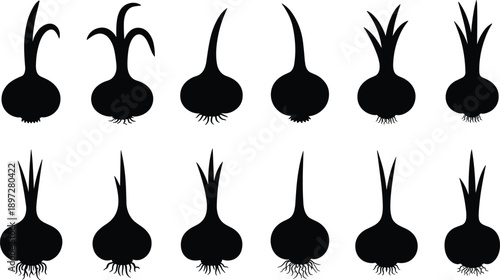 Onion bulb silhouette icon set featuring sprouting onions roots garlic shapes black vegetable vector collection illustration