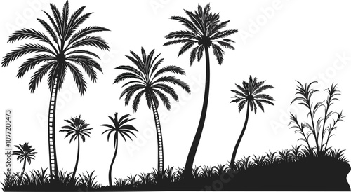 Collection of palm tree silhouettes and tropical foliage