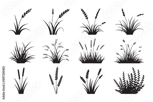 Set of grass silhouettes black vector collection of various plants isolated on white background