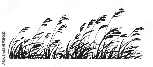 Windy day swaying grass silhouette vector illustration on white background