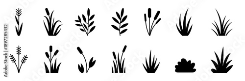 Plants silhouette set with various leaves and stems shapes featuring silhouettes, black, botanical with floral and foliage elements
