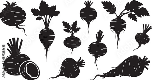 Black silhouettes of beets and beetroot on white background