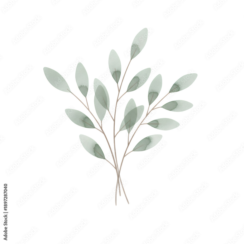 Obraz premium Botanical illustration of a watercolor green plant branch. Aesthetic decorative element for wedding invitation. Gentle hand drawn foliage design.
