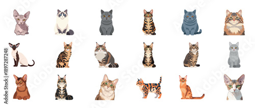 Set of cartoon vector illustrations of various cat breeds in sitting poses with transparent background