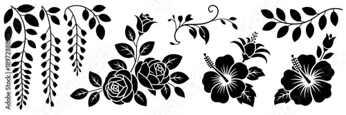 Flowers floral silhouette with hibiscus, roses, and botanical vines in black, intricate design, decorative style, vector graphics, high contrast, suitable for embellishments and pattern backgrounds
