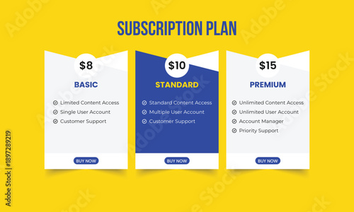 Subscription Price Plan Infographic Template. Subscription plan for online service, SaaS concept software Vector.Business subscription plan web ui element.