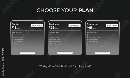 Subscription Price Plan Infographic Template. Subscription plan for online service, SaaS concept software Vector.Business subscription plan web ui element.