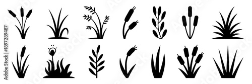 Plants variety collection with stylized leaf shapes, sprouting shoots, and grass blades in black silhouette for botanical illustrations, gardening icons, or decorating designs.