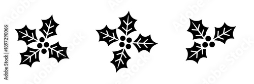 Holly leaves and berries icon with festive black silhouettes and multiple detailed branches for holiday decoration and seasonal themes featuring hollies, silhouette, vector with graphic and minimal