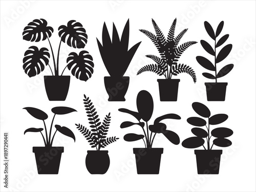 Indoor houseplants silhouettes vector set, potted tropical plants collection. botanical decor, black icons vector illustration
