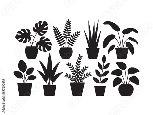 Indoor houseplants silhouettes vector set, potted tropical plants collection. botanical decor, black icons vector illustration