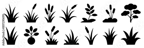Plants seedling and sprouting icons collection with natural shapes, simple silhouettes, botanical motifs, growth stages, minimalistic style for gardening, ecology, and nature applications