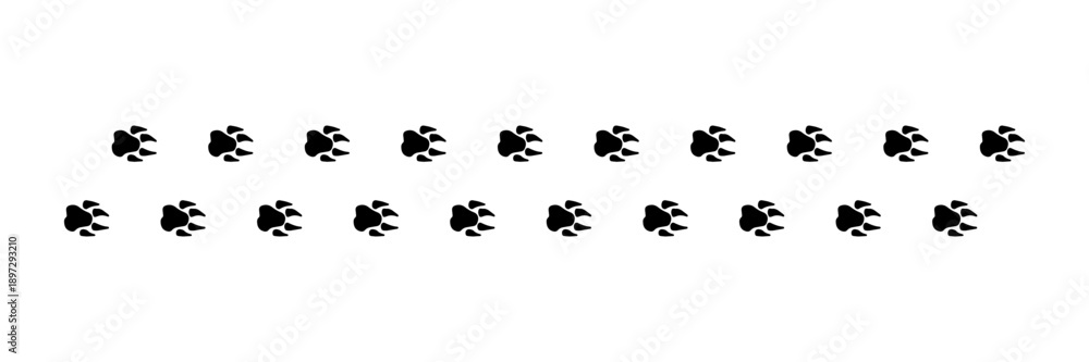 Fototapeta premium paw print trail