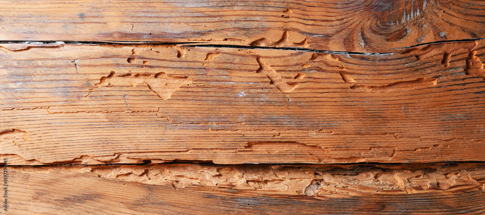 Fototapeta premium A close-up of old, rough, weathered wood grain. Deep cracks and jagged edges give it a rustic, vintage look.