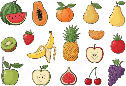 Hand drawn fruits illustration set with watermelon pineapple banana apple pear grapes and berries healthy food vector