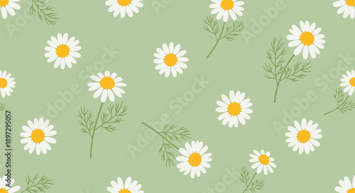 A serene floral pattern with daisy flowers and leaves on a soft green background viewed from directly above