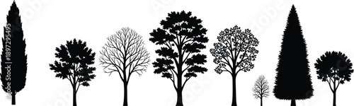 Diverse tree silhouettes set with pine, oak, cypress, and deciduous varieties, outdoor nature landscape elements for botanical design and environmental illustration