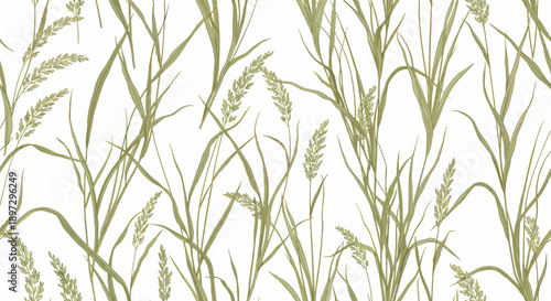 A serene botanical illustration of a single stem of a delicate flower surrounded by lush green grass and wheat, vector artwork for decoration