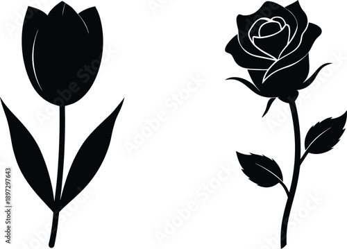 Black and white rose vector illustration with floral design elements
