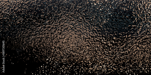 Close-up macro shot of black rice grains texture.