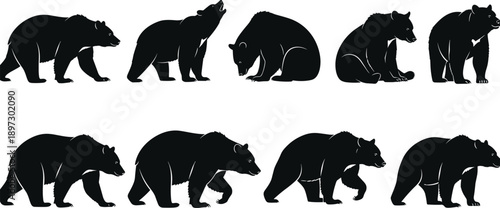 Collection of black bear silhouettes in various poses including walking, sitting, and standing, isolated on white background for vector graphic design.