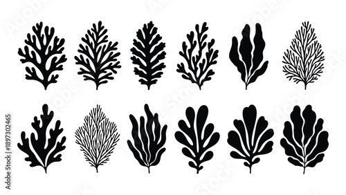Collection of abstract seaweed silhouettes Vector