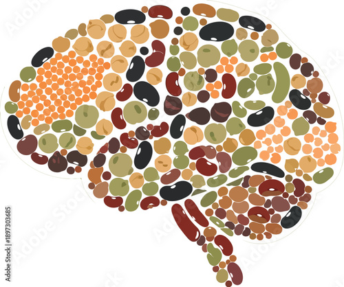 Diverse assortment of colorful legumes and beans meticulously arranged to form the distinct shape of a human brain illustration
